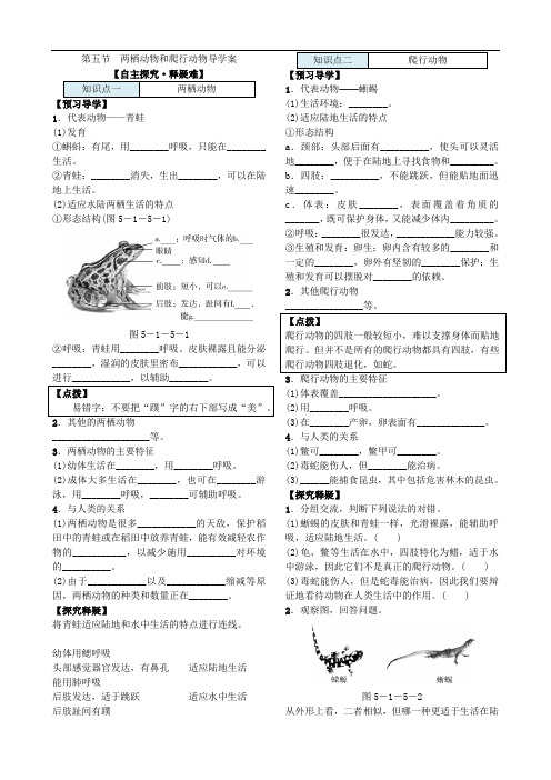 人教版八年级生物上册 两栖动物和爬行动物导学案金品