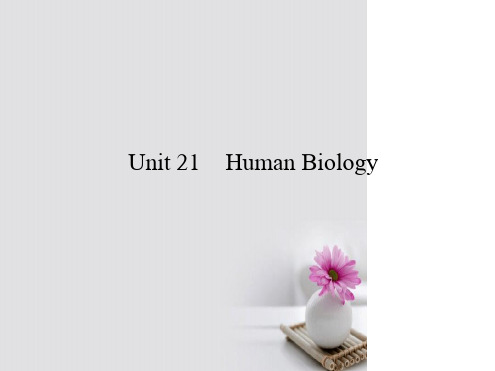 高考英语一轮复习构想Unit21HumanBiology课件北师大选修7