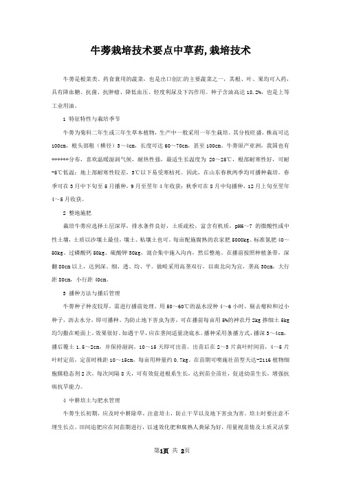 牛蒡栽培技术要点中草药,栽培技术