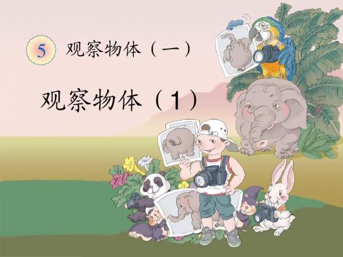新人教版数学二年级上册《观察物体》ppt课件