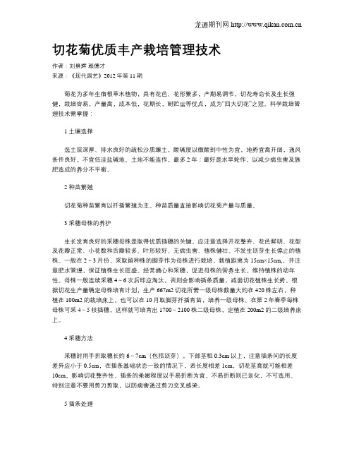 切花菊优质丰产栽培管理技术