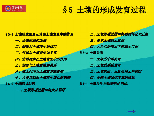 (优)土壤学第五章 土壤的形成发育过程ppt文档