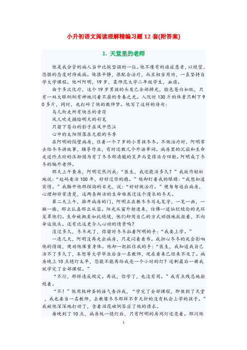2020年新人教版小升初语文阅读理解精编习题12套附答案