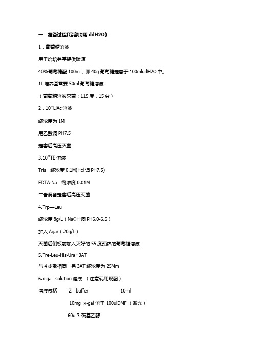 酵母过程自己总结