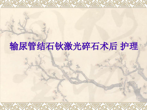 输尿管结石及钬激光碎石术后护理