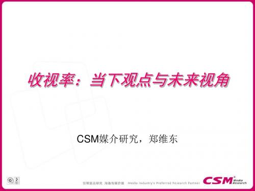 收视率当下观点与未来视角课件
