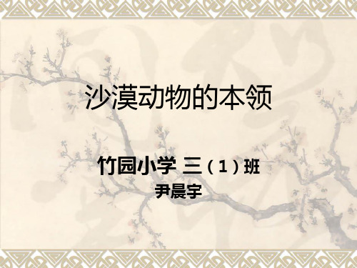 沙漠动物的本领