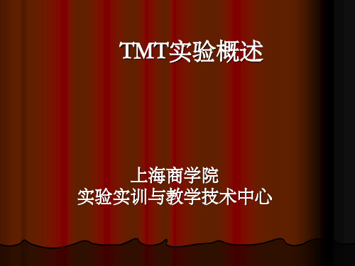 TMT-1-1概述
