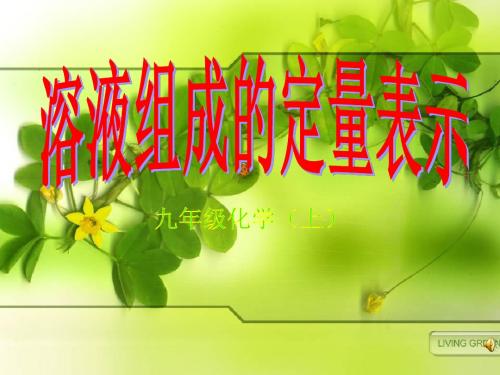 初中化学_溶液组成的定量表示PPT课件1