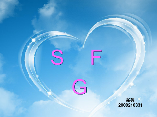 讲课版 SFG概要