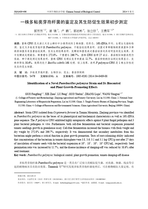 一株多粘类芽孢杆菌的鉴定及其生防促生效果初步测定