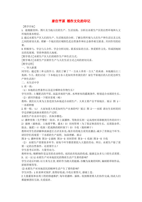 初中部历史与社会七年级上册3.1.1稻作文化的印记教案人教版