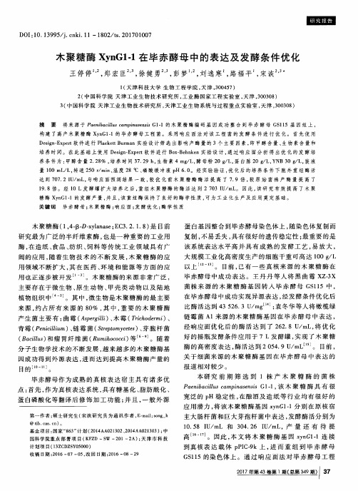 木聚糖酶XynG1-1在毕赤酵母中的表达及发酵条件优化