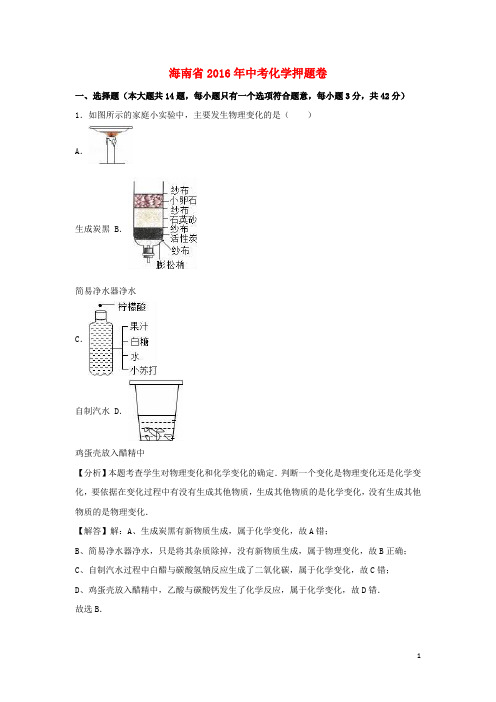海南省2016年中考化学押题卷(含解析)