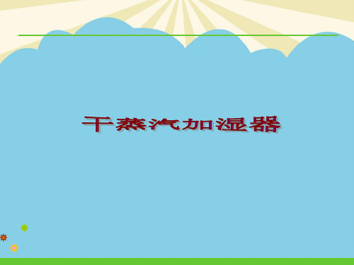 【优】干蒸汽加湿器最全PPT资料