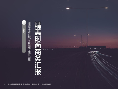 精美时尚商务汇报PPT模板