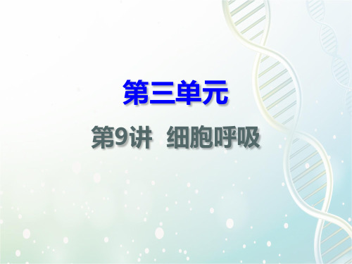 高三生物一轮复习精品课件3：第9讲 细胞呼吸