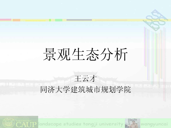 同济大学 景观生态学16景观生态分析