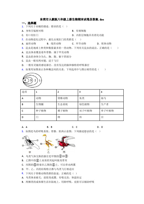 东莞市人教版八年级上册生物期末试卷及答案.doc