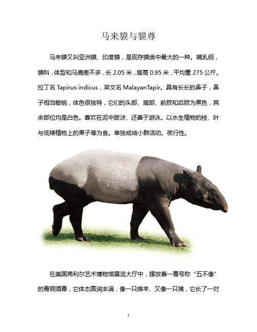 马来貘与貘尊
