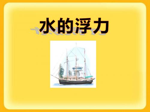 《水的浮力》PPT课件