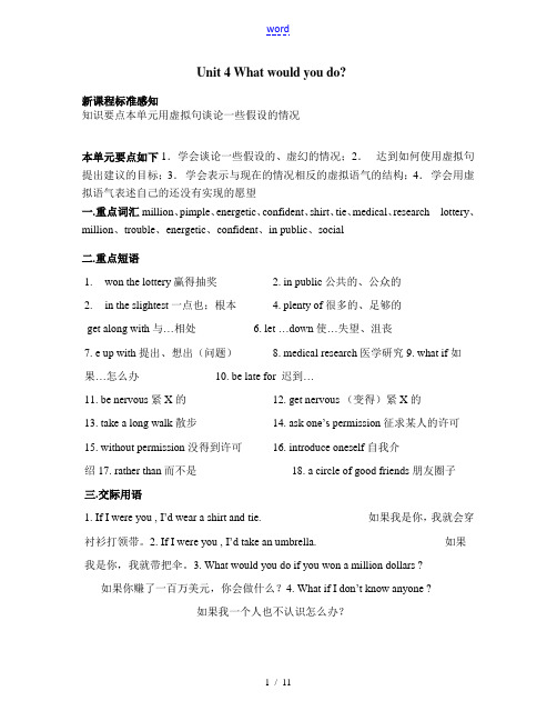 九年级英语Unit4 What would you do教案 人教新目标版