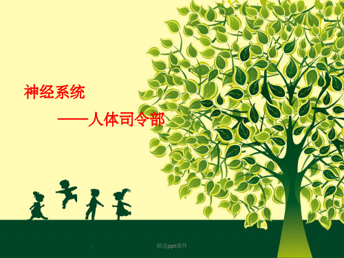 学前儿童卫生与保育 第七节  神经系统