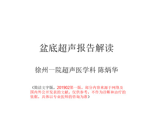 盆底超声报告解读文字版