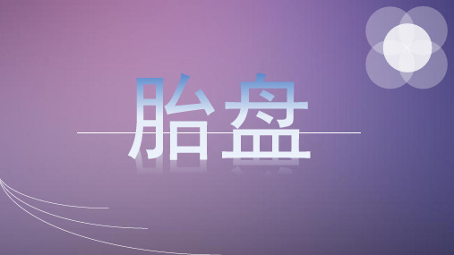 胎盘