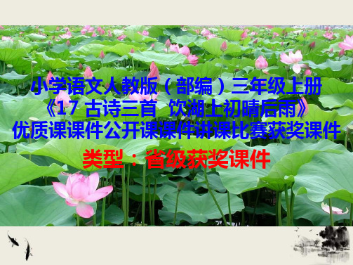 小学语文人教版(部编)三年级上册《17 古诗三首  饮湖上初晴后雨》优质公开课讲课获奖课件D009