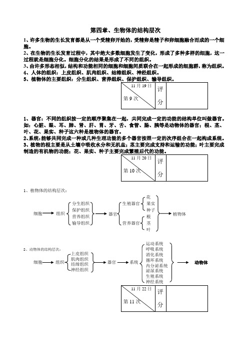 七年级生物(上)第四章复习要点
