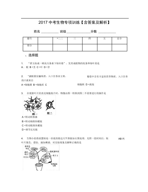2017中考生物专项训练【含答案及解析】