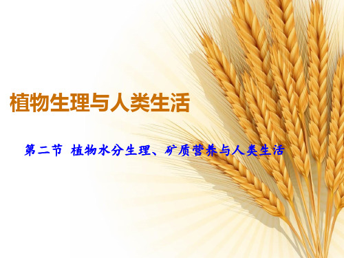 第一章_植物的水分生理2