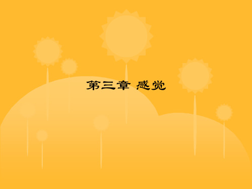 大学心理学课件第三章感觉.ppt