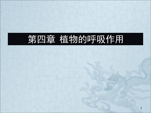 植物生理学呼吸作用 PPT课件