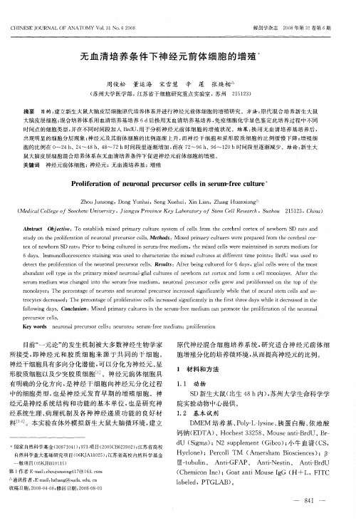 无血清培养条件下神经元前体细胞的增殖