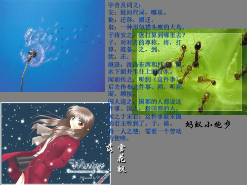 七年级语文短文两篇2(PPT)3-2