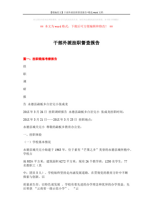【精编范文】干部外派挂职督查报告-精选word文档 (16页)