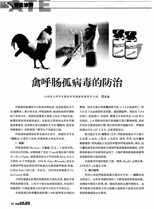 禽呼肠孤病毒的防治