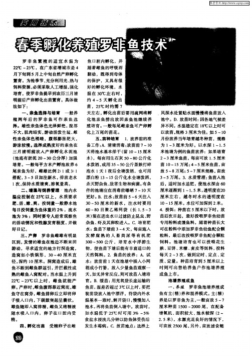 春季孵化养殖罗非鱼技术