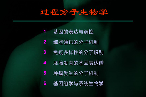 华东理工大学-过程分子生物学4共89页文档