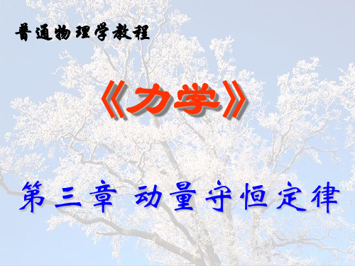 物理力学 动量守恒定律