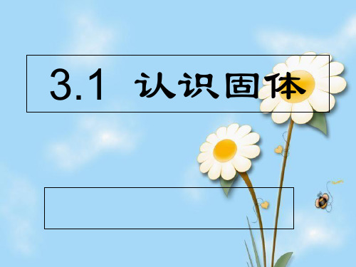 《认识固体》PPT课件
