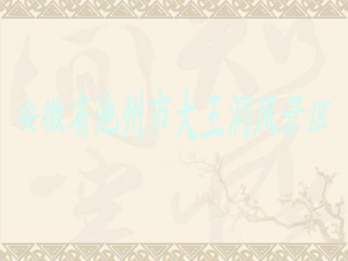 大王洞