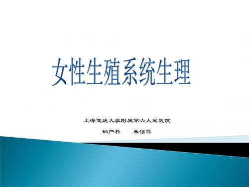 妇产科——女性生殖系统生理