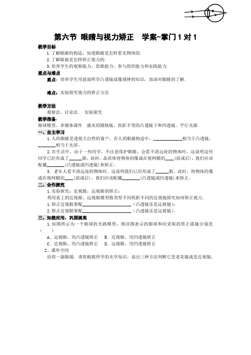 《眼睛与视力矫正》教案
