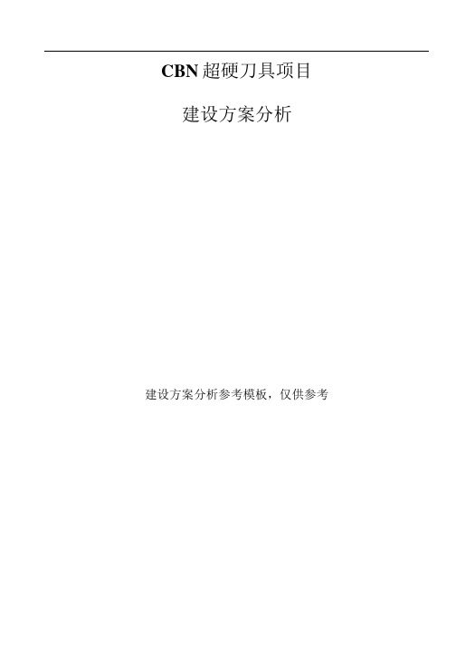 CBN超硬刀具项目建设方案分析模板范文.docx