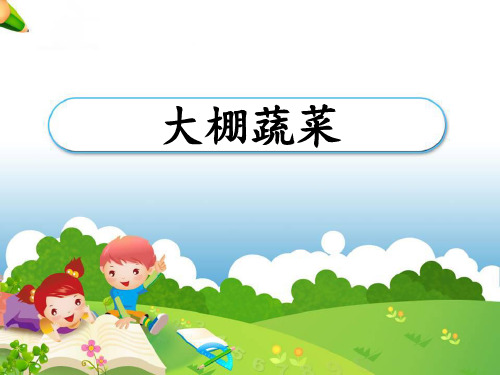 《大棚蔬菜》农田PPT课件3