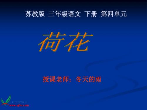 《荷花》PPT课件(苏教版三年级语文下册课件)