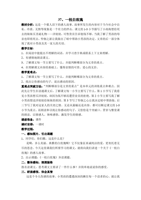 37、一枝白玫瑰